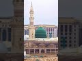 كرمال محمد دلوني عليه