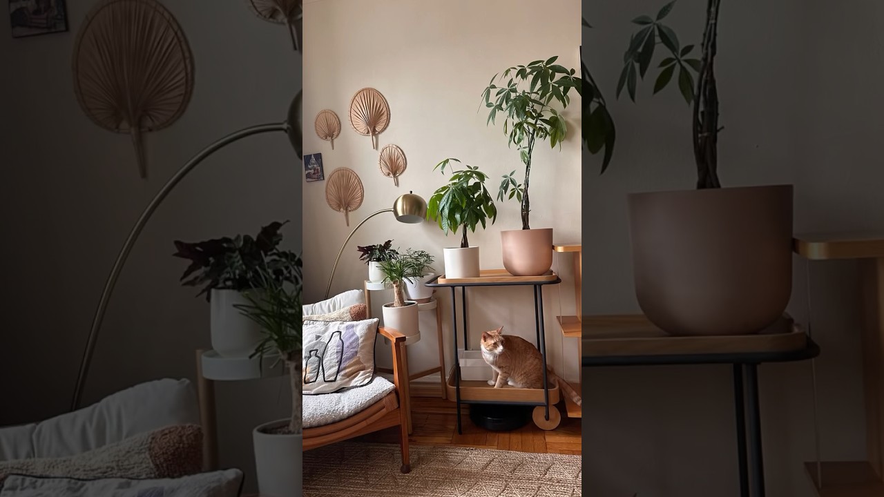 🤍Dram Bar Cart🤍