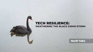 Tech Resilience: Weathering the Black Swan Storm