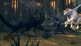 Dark Souls Remastered - Artorias & Sif VS Manus screenshot 4