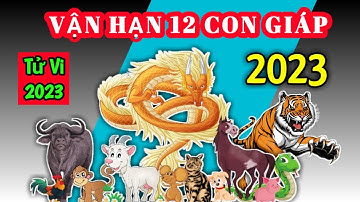 [full] VẬN HẠN 2023 CỦA 12 CON GIÁP | ĐẦY ĐỦ - CHÍNH XÁC @Luangiai12congiap