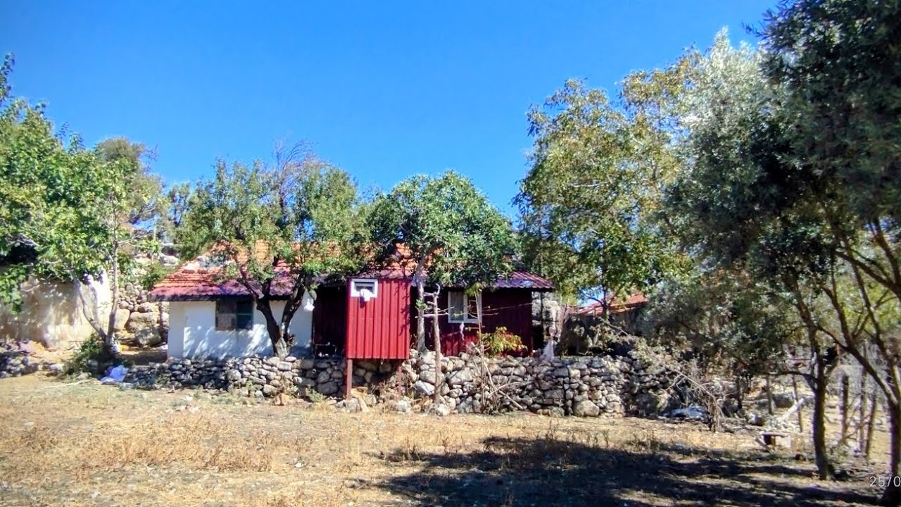 Trt belgesel esme 10 yılda neler değişti ❓