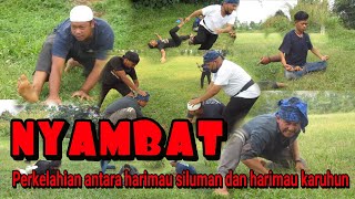 Nyambat ilmu Harimau pertarungan harimau siluman dan harimau sumatra