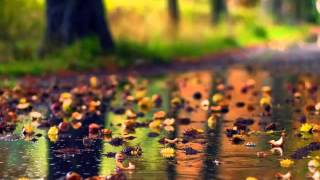 Mirko Rondović - Ja Uranih Jutros Rano