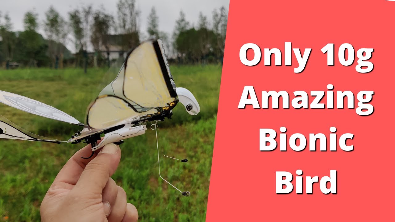Kæledyr Databasen Gå forud MetaFly Bionic bird Biometric Drone A new flying experience - YouTube