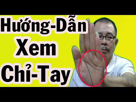 Video Giải Mã Về Những Bí Ẩn Về Những Đường Chỉ Tay Đặc Biệt... - youtube