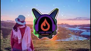 DJ Kush Bollywood  Mix Tape 2023 | Fire Hitz Music 🔥