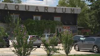 Houston-area aquarium cited for 15 violations in USDA inspection