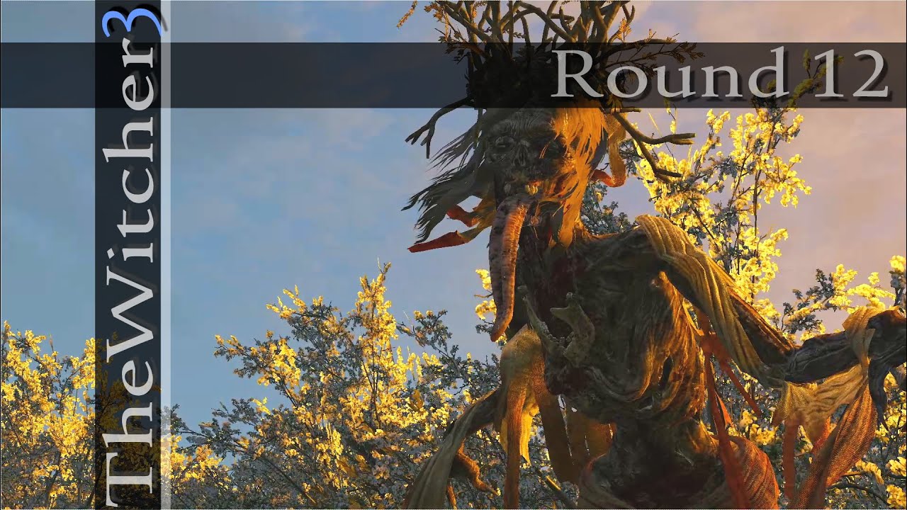 ウィッチャー3 Pc版 日本語字幕 Round 12 白衣の女 The Witcher 3 Wild Hunt Youtube