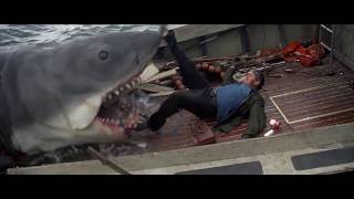 JAWS attack scene but w/ Ocean Man by Ween