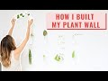 Minimalist Plant Propagation Wall | CUTE & INEXPENSIVE Interior Design Idea!