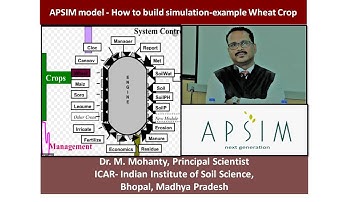 APSIM model - How to build simulation-example Wheat Crop