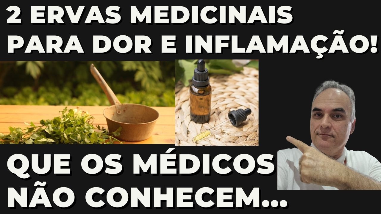 Tá com dor e inflamação? Experimente duas ervas fantásticas!