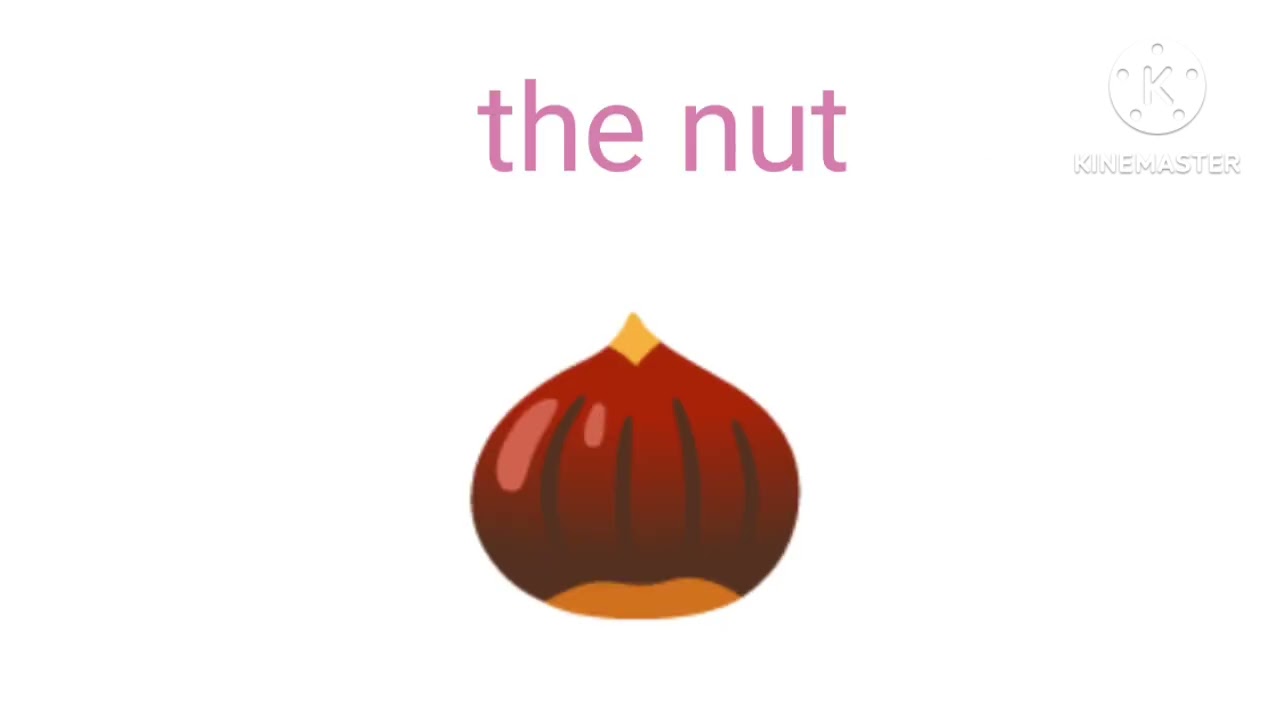 [S2] honoka story | episode 29 - air, toxic and gas - the nut | kikicrowda tv