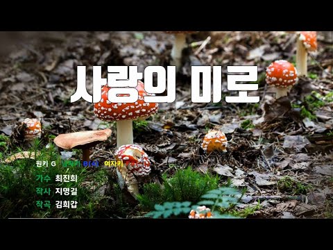 [은성반주기] 사랑의미로 - 최진희 /MR/가사