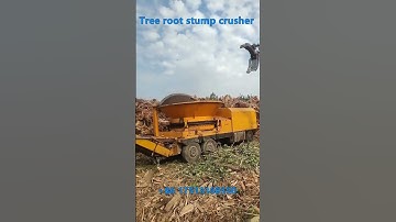Tree root stump crusher