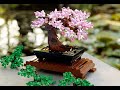 LEGO Botanical Collection Bonsai Tree Speed Build