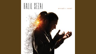Duyanlara Duymayanlara - Halil Sezai
