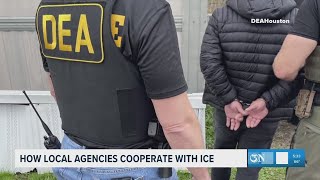 How Local Agencies Cooperate With Ice