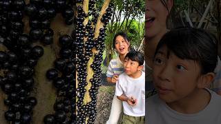 So Many Fruits Growing On The Tree Trunk Amazing Fruit Video