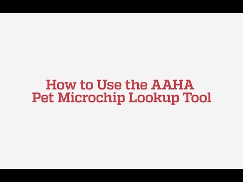 How to Use the AAHA Pet Microchip Lookup Tool