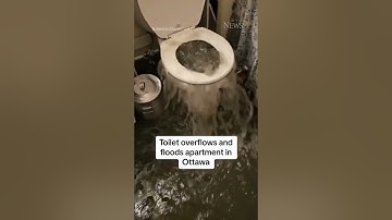 Toilet overflows in Ottawa as apartment gets flodded.|2023