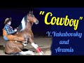 &quot;Ковбой&quot; Ю.Якубовский и Арамис .&quot;Эквирос&quot; .  &quot;Cowboy&quot; Yu.Yakubovsky and Aramis .Equiros .Moscow