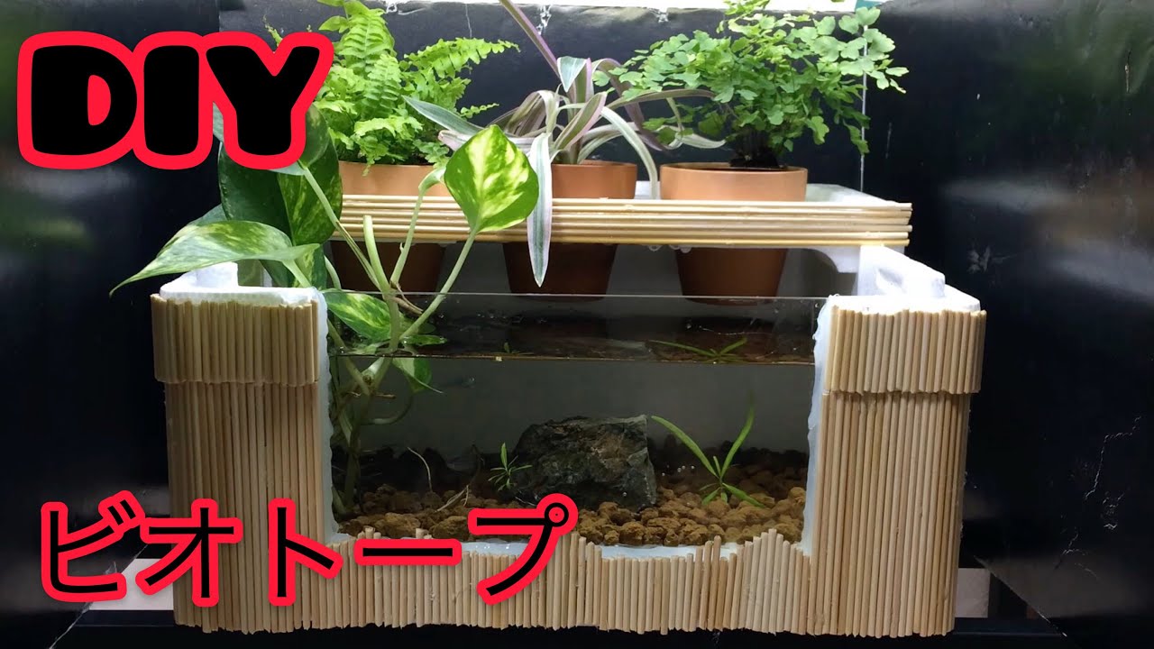 多目的！飼育ケース！】廃材を使ってオシャレな室内ビオトープを立ち