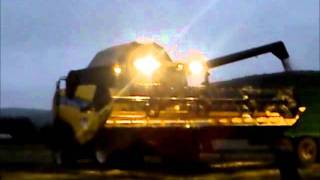 Corn harvest 2011