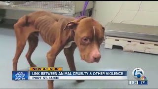 Famous Link between animal cruelty and other violence Net Worth