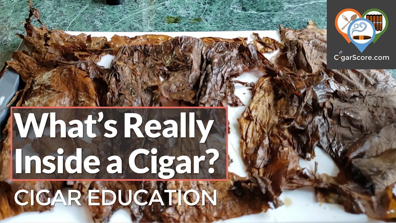 What's Really Inside of a Cigar?