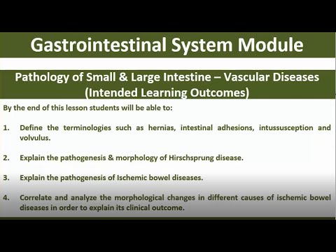 4 Pathology of Intestines   Vascular Diseases