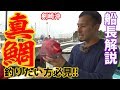 【一義丸】真鯛釣り　剣崎沖