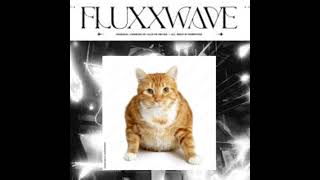 Fluxxwave but cats made it