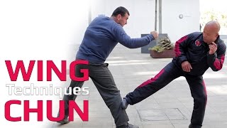 how to deal with a boxing jab in a long range Wing Chun screenshot 3