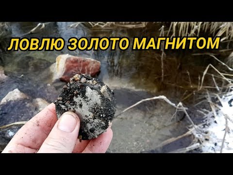 ДОБЫВАЮ ЗОЛОТО С ПОМОЩЬЮ МАГНИТА...