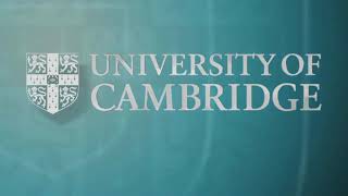 DNMW04 | Dr. Beniamin Bogosel | Optimization of support structures in additive manufacturing