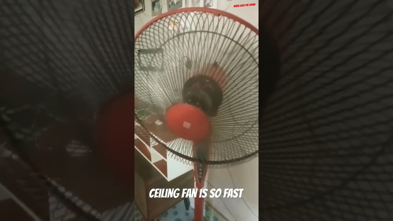 News Ceiling fan is so FAST
