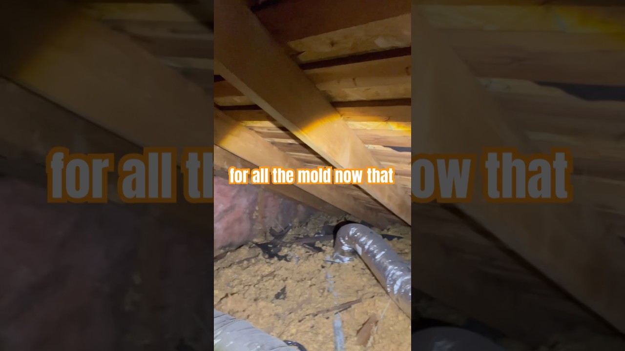 🚨 HVAC Tech Said "No Issues" – I Found MOLD! 😳
