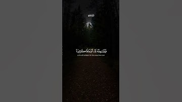 مَّن ذَا الَّذِي يُقْرِضُ اللَّهَ قَرْضًا حَسَنًا | محمد صديق المنشاوي | سورة البقرة 🎧🤍
