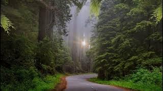 Pop Sunda Bubuy Bulan Versi Tarling Remasted 2025