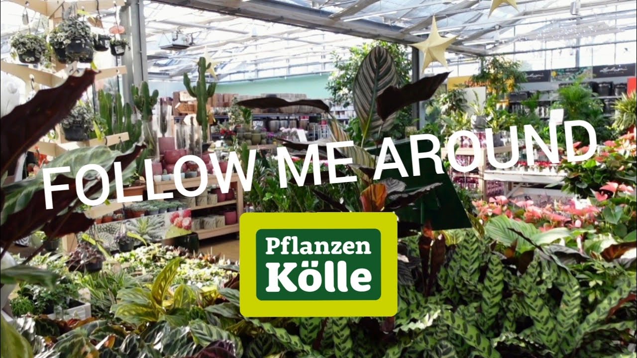 Follow Me Around 💚 | Pflanzen Kölle Hamburg 🌱 | SG Pop Up 🌸