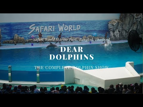 The Safari Book Chapter 2 (หนังสือซาฟารีตอนที่ 2) | Dear Dolphins (ถึงปลาโลมาที่รัก)