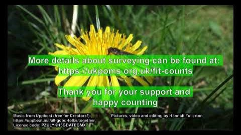 Northern Ireland and Ireland Poms (Pollinator monitoring Scheme)