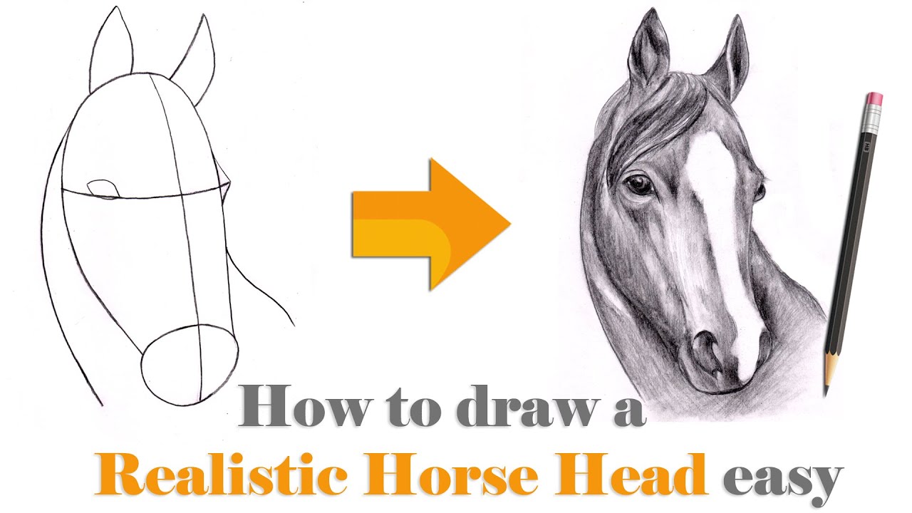 How to Draw a Horse Face