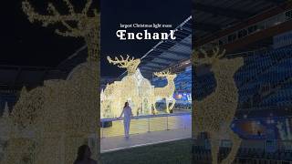 Enchant Christmas ✨
