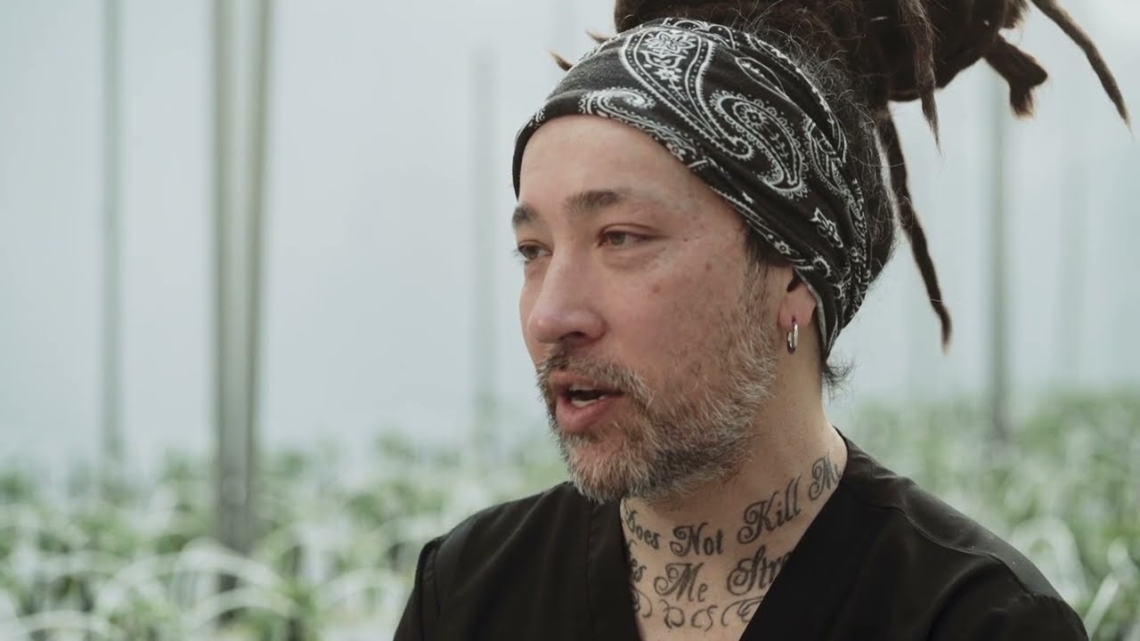 Carmel - The Formula