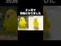 2ヶ月で別鳥になりました🐥