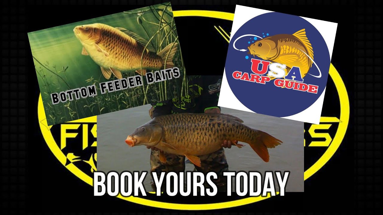 USA Carp Guide и приманки для ловли на донной кормушке. Отличное сочетание.