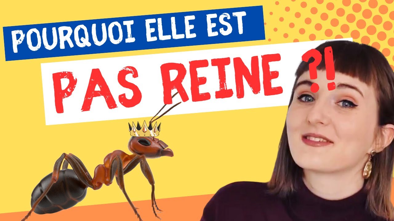 Pourquoi TOUTES les FOURMIS ne sont pas REINE ?!